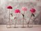 Peonies in glass bottles Poster Print by Assaf Frank # AF20160707263C04